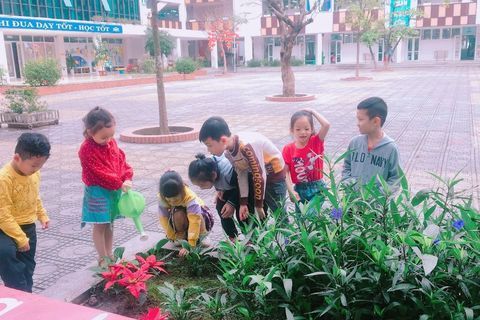 Phong trào “Tết trồng cây” ở trường Tiểu học Ngọc Khánh